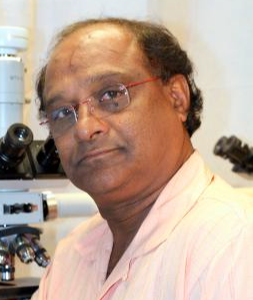 Photo of Narayan Raju